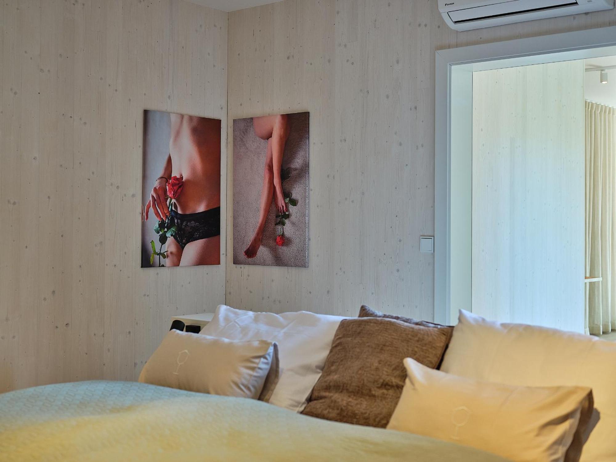 Haus Fuenf Mit 2 Apartments Und Studio-Loft Mit Terrasse Melk Exteriér fotografie
